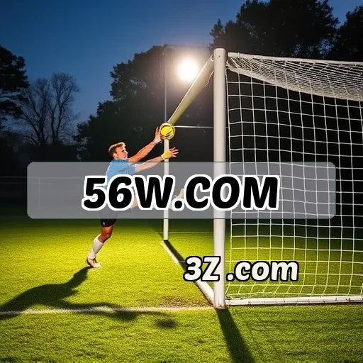 56w.com: Funcionalidades Incríveis Para Jogadores Brasileiros